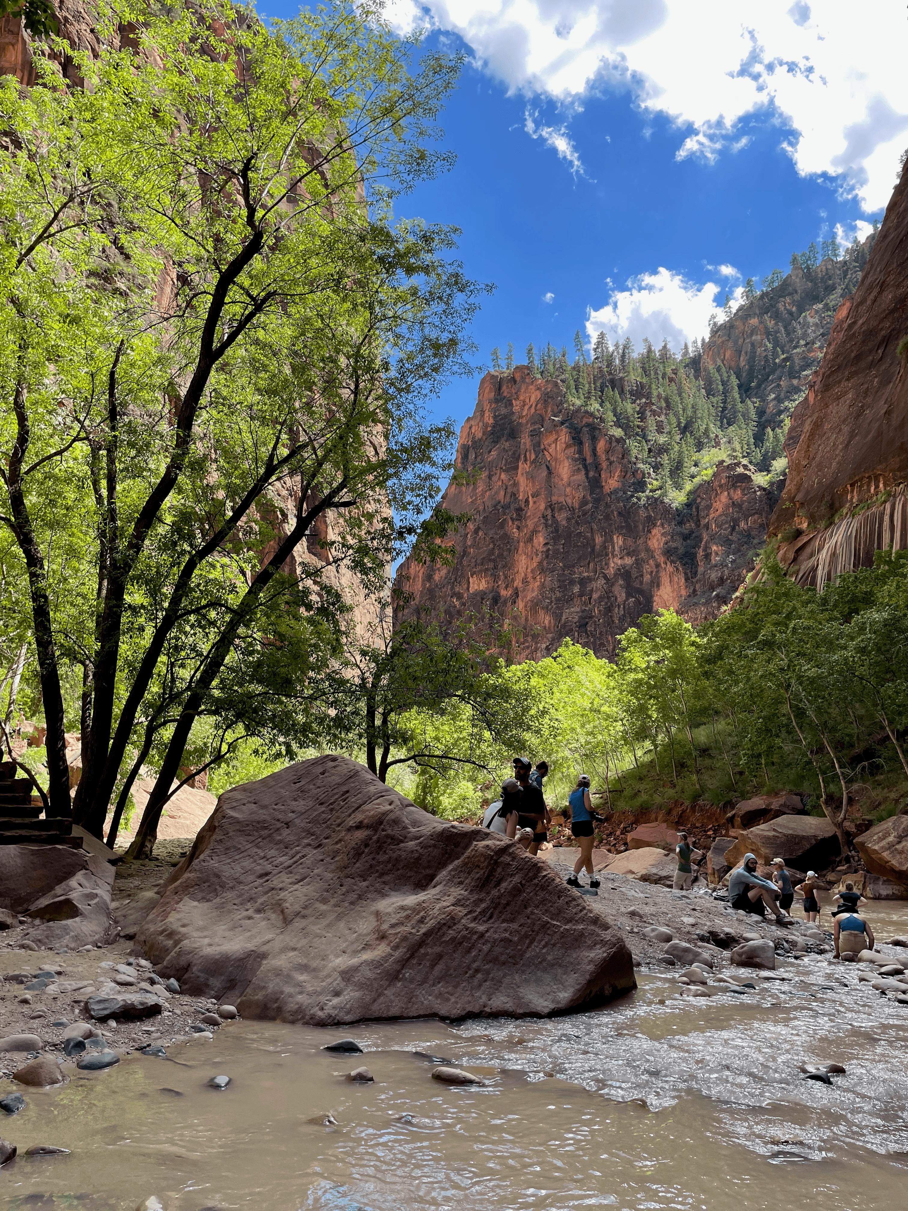 The Narrows at Zion National Park